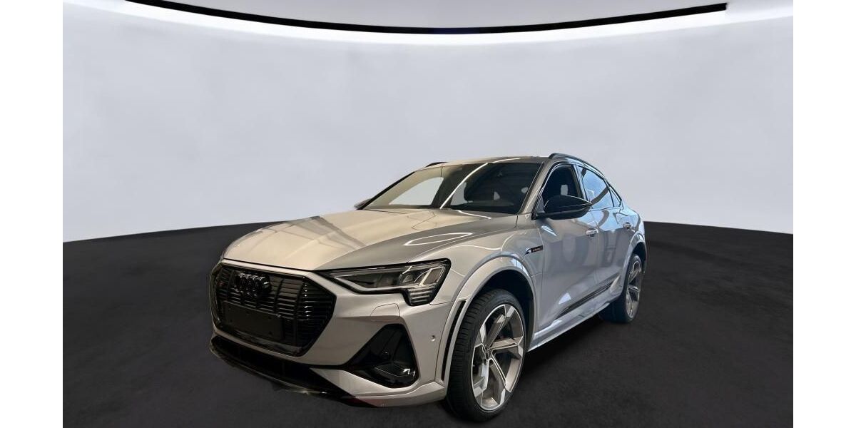 Audi e-tron 52.551 km 41.529 &euro; Hagen 58091
