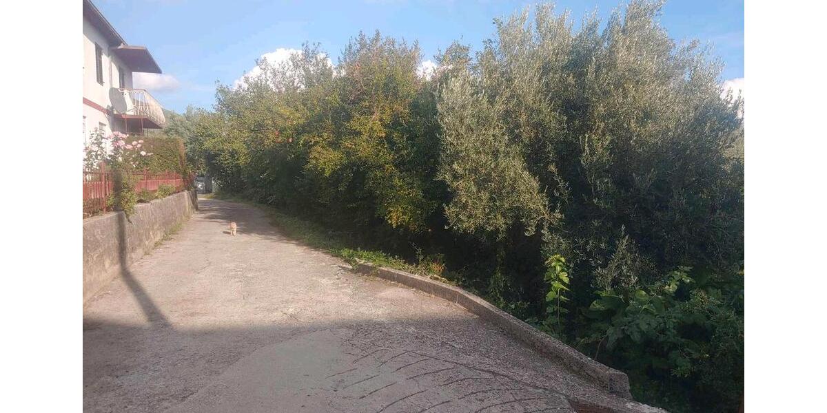 Ferienimmobilie Heiligenhaus - 170&euro; | Angebot:23139007