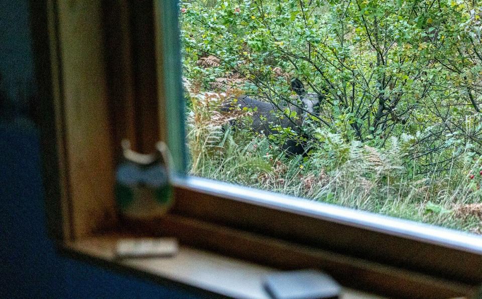 Ferienimmobilie Hilden - 640&euro; | Angebot:9663548