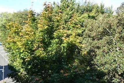 Wohnung Bochum / Grumme Grumme - 4.5 Zimmer, 108 m&sup2;, 149.000&euro; | Angebot:25476227