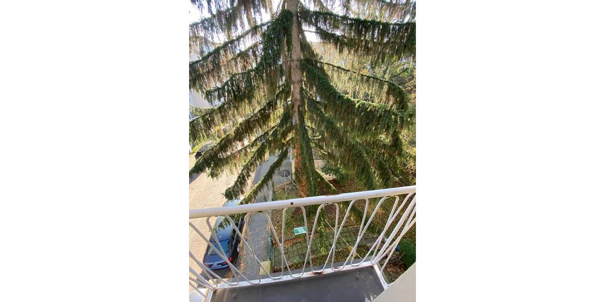 Etagenwohnung Wuppertal Gemarkung Elberfeld - 2 Zimmer, 59 m&sup2;, 519&euro; | Angebot:25323287