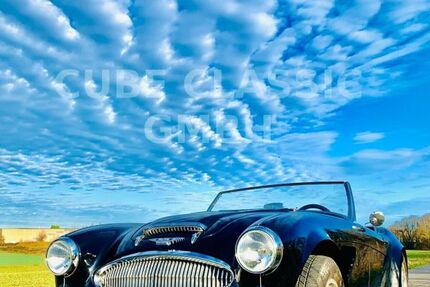 Austin Healey Andere 60.000 km 59.800 &euro; Essen 45127