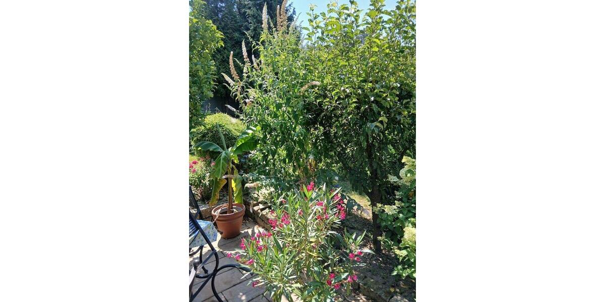 Einfamilienhaus Wuppertal Gemarkung Ronsdorf - 965.000&euro; | Angebot:27070650