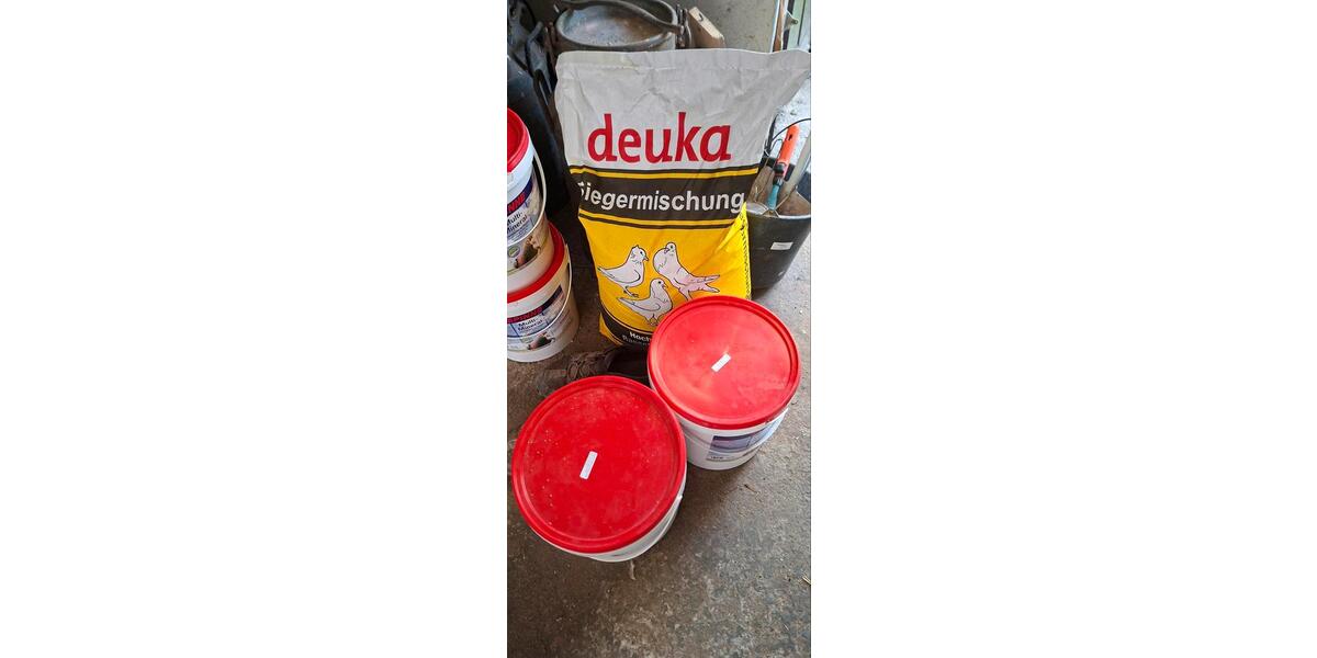 Ferienimmobilie Essen Stadtbezirk VII - 480&euro; | Angebot:25733985