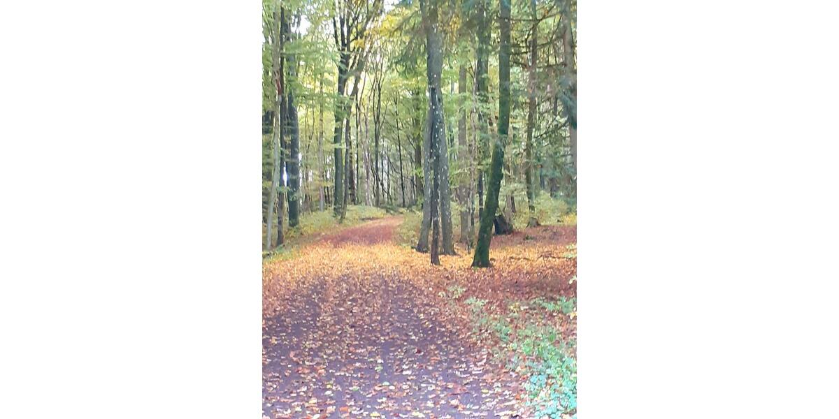 Ferienimmobilie Wuppertal Gemarkung Ronsdorf - 345&euro; | Angebot:25723943