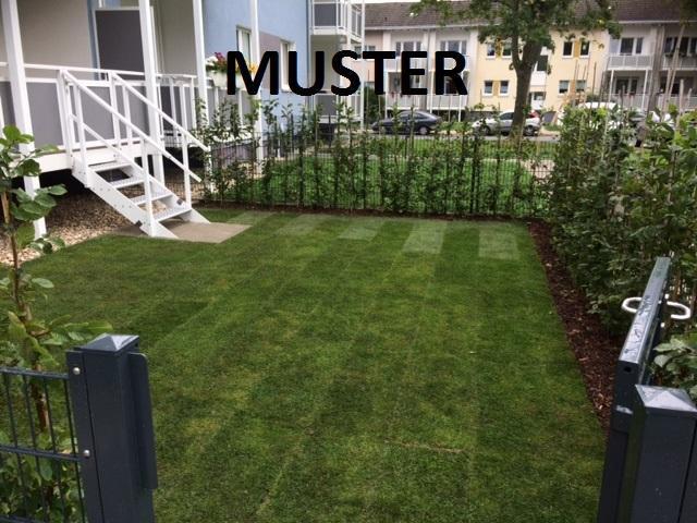 Erdgeschoßwohnung Essen Stadtbezirk VI - 3 Zimmer, 67 m&sup2;, 661&euro; | Angebot:25882883