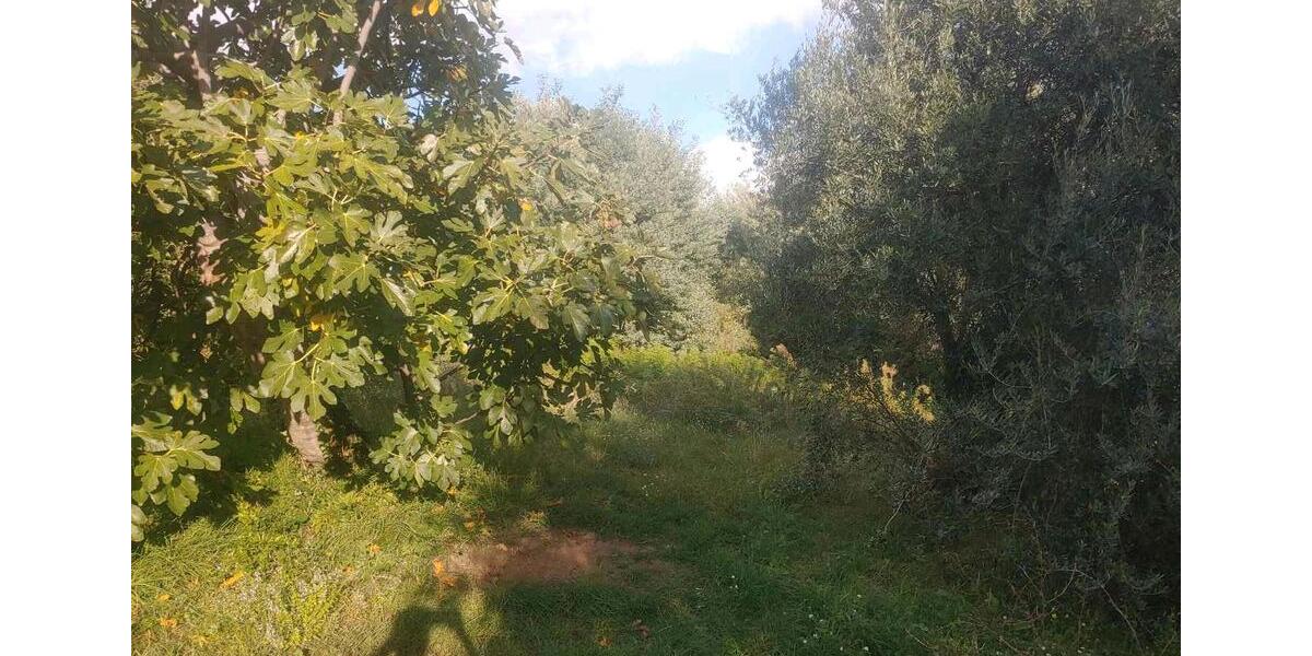 Ferienimmobilie Heiligenhaus - 170&euro; | Angebot:23139007