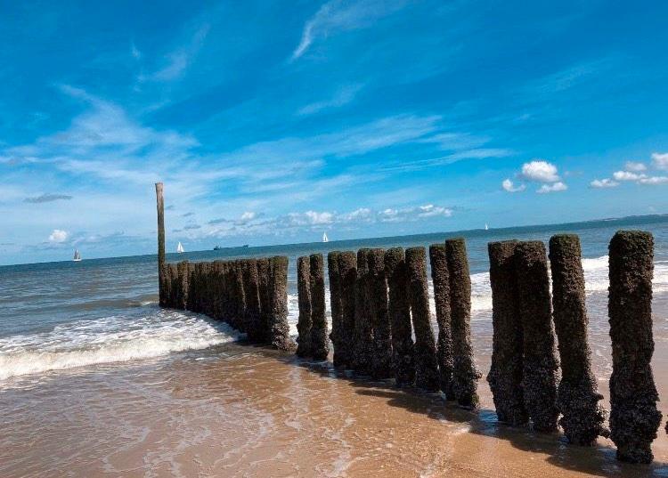 Ferienimmobilie Essen Stadtbezirk IX - 480&euro; | Angebot:25834003