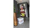 Gewerbeobjekt Bochum Bochum-Nord - 270&euro; | Angebot:26182491