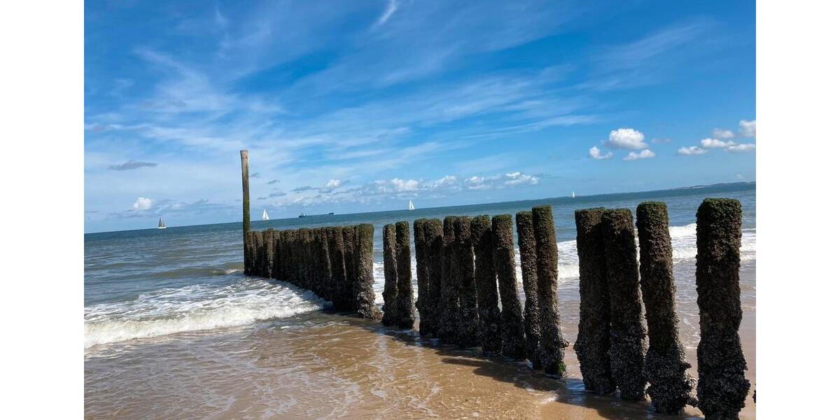 Ferienimmobilie Essen Stadtbezirk IX - 480&euro; | Angebot:25834003