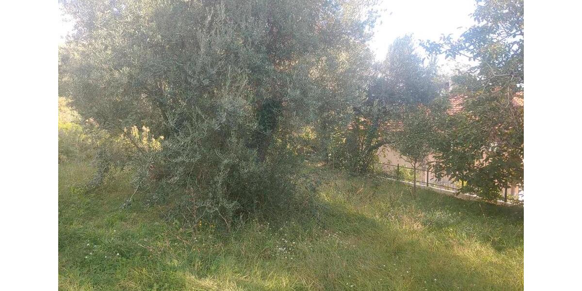 Ferienimmobilie Heiligenhaus - 170&euro; | Angebot:23139007