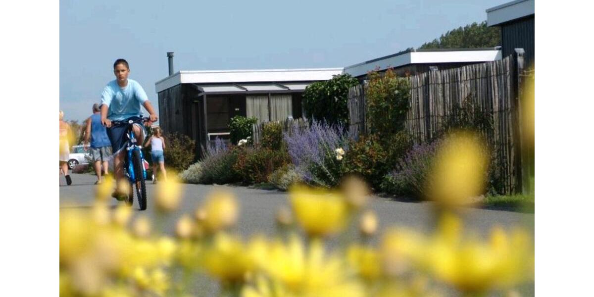 Ferienimmobilie Düsseldorf Stadtbezirk 8 - 95&euro; | Angebot:25338986