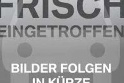 Skoda Fabia 60.000 km 9.750 &euro; Mülheim 45473