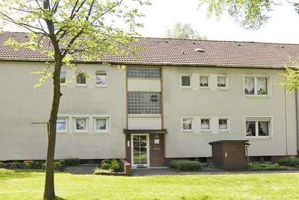 Wohnung Gelsenkirchen Resser Mark - 2.5 Zimmer, 43 m&sup2;, 339&euro; | Angebot:25878794
