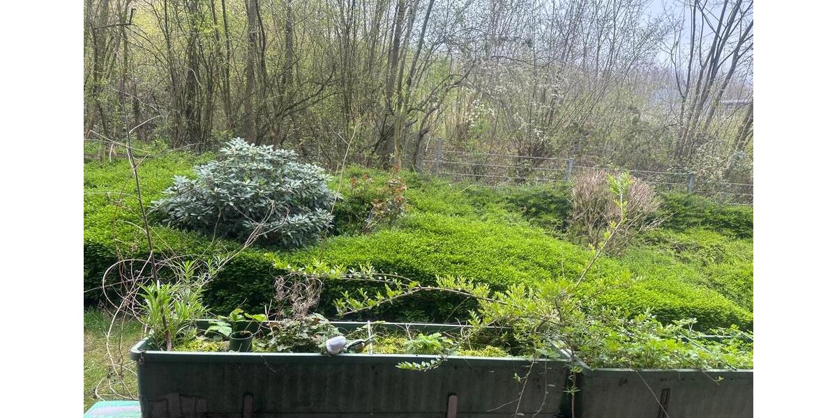 Etagenwohnung Wülfrath - 2 Zimmer, 65 m&sup2;, 184.500&euro; | Angebot:26055275