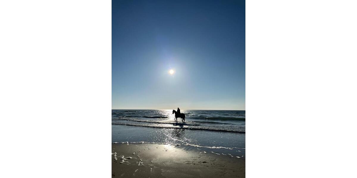 Ferienimmobilie Wuppertal Gemarkung Ronsdorf - 650&euro; | Angebot:25445243