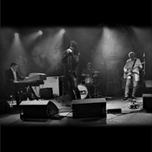 The Doors Rising 14.05.2026 Capitol Theater