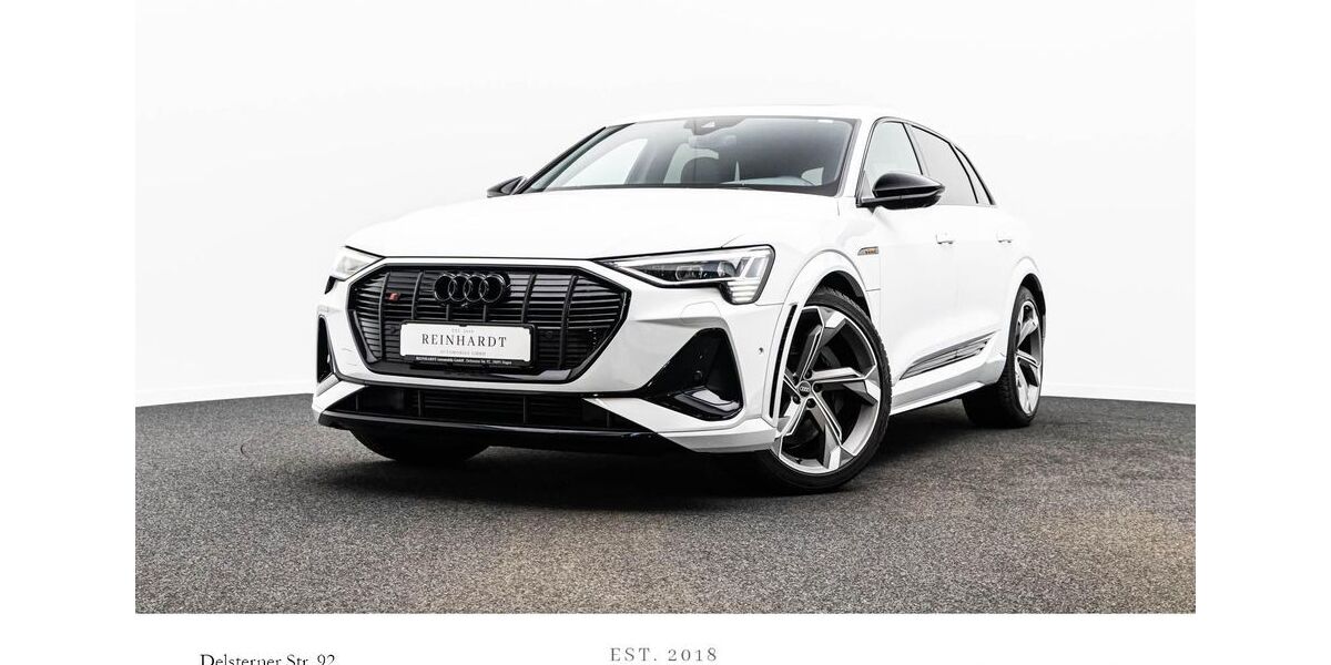 Audi e-tron 41.125 km 44.888 &euro; Hagen 58091