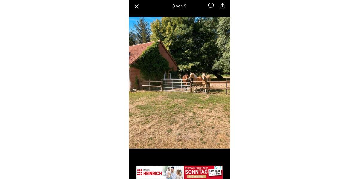 Ferienimmobilie Wermelskirchen - 50&euro; | Angebot:23510418