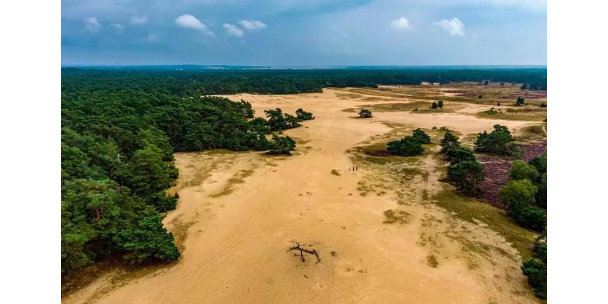 Ferienimmobilie Wuppertal Elberfeld - 78&euro; | Angebot:22208350