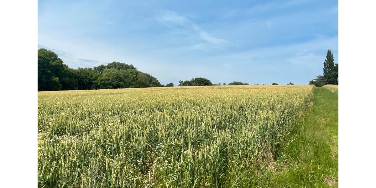 Einfamilienhaus Solingen Mitte - 1 Zimmer, 85 m&sup2;, 780&euro; | Angebot:25925501