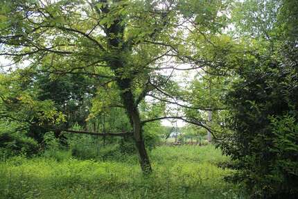 Grundstück Leichlingen Rothenberg - 599.000&euro; | Angebot:7315349