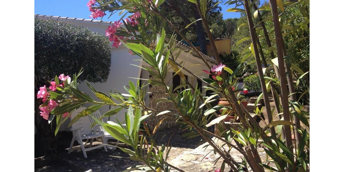 Ferienimmobilie Langenfeld (Rheinland) - 100&euro; | Angebot:25050785