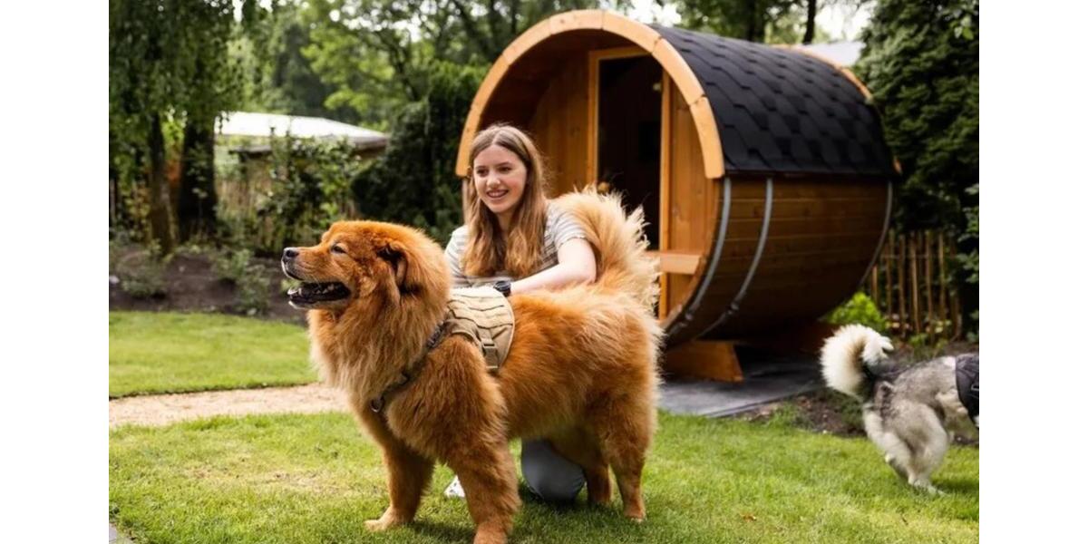 Ferienimmobilie Wuppertal Elberfeld - 112&euro; | Angebot:18333795