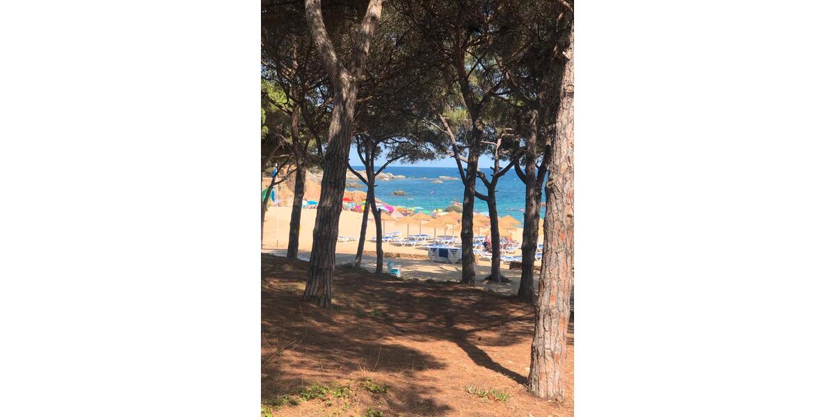 Ferienimmobilie Langenfeld (Rheinland) - 80&euro; | Angebot:26048275