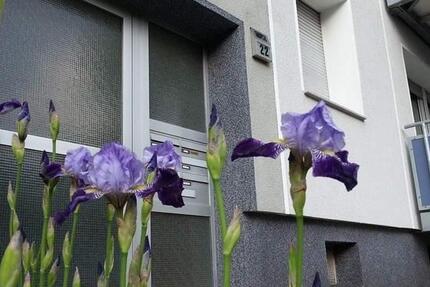 Wohnung Gelsenkirchen Gelsenkirchen-Mitte - 2.5 Zimmer, 45 m&sup2;, 500&euro; | Angebot:25931885