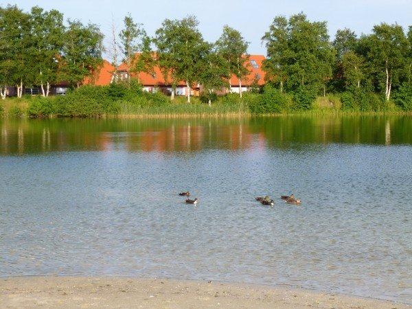 Ferienimmobilie Essen Stadtkern - 99&euro; | Angebot:25917368