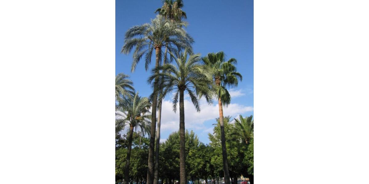 Ferienimmobilie Düsseldorf Stadtbezirk 9 - 105&euro; | Angebot:25313659