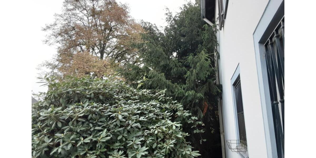 Erdgeschoßwohnung Velbert Velbert-Mitte - 2 Zimmer, 64 m&sup2;, 650&euro; | Angebot:26631289