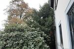 Erdgeschoßwohnung Velbert Velbert-Mitte - 2 Zimmer, 64 m&sup2;, 650&euro; | Angebot:26631289