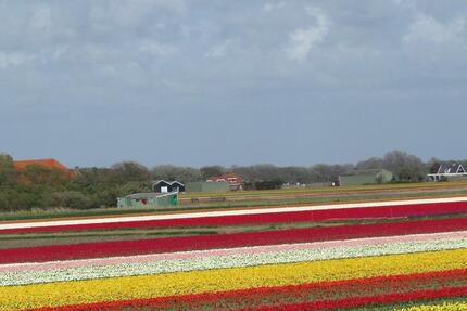 Ferienimmobilie Wuppertal Gemarkung Ronsdorf - 650&euro; | Angebot:25445243