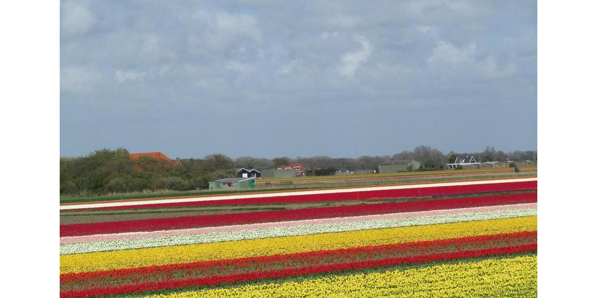 Ferienimmobilie Wuppertal Gemarkung Ronsdorf - 650&euro; | Angebot:25445243