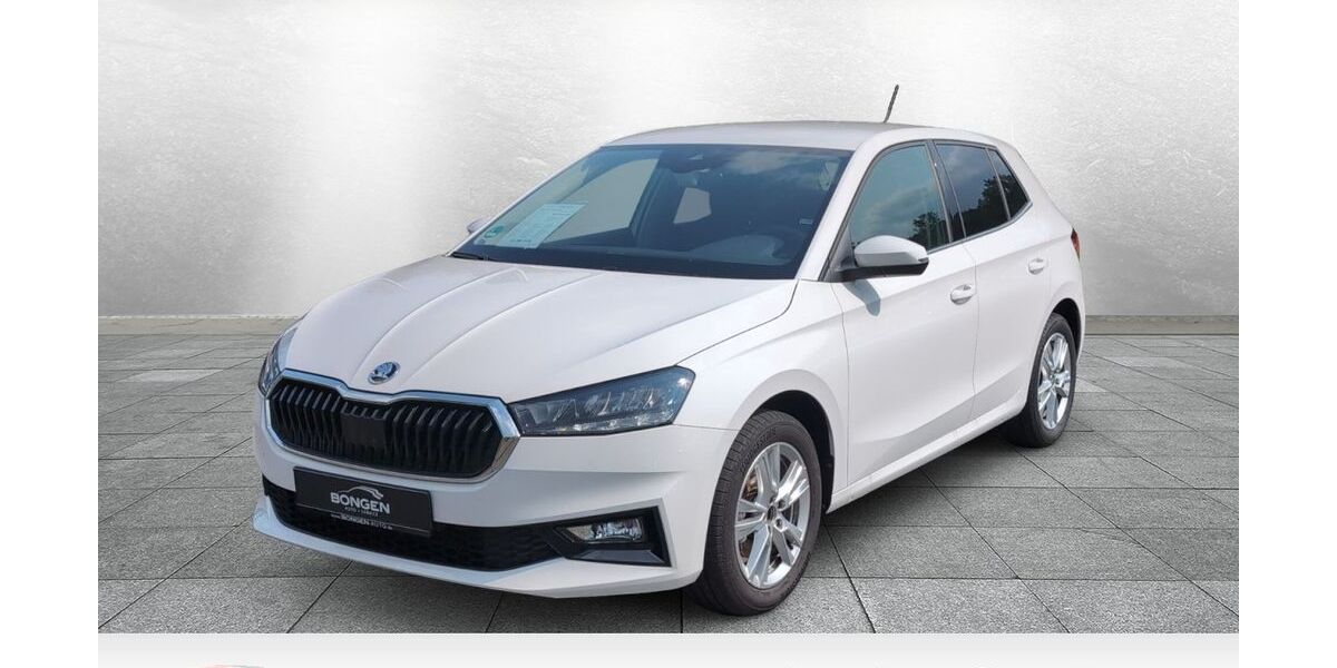 Skoda Fabia 17.300 km 19.990 &euro; Wipperfürth 51688