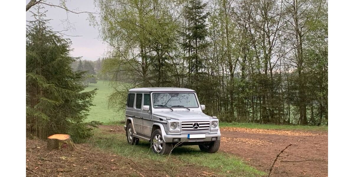 Mercedes-Benz G 500 308.000 km 43.999 &euro; Halver 58553