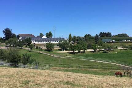 Haus Burscheid - 14 Zimmer, 506 m&sup2;, 1.985.000&euro; | Angebot:25203768