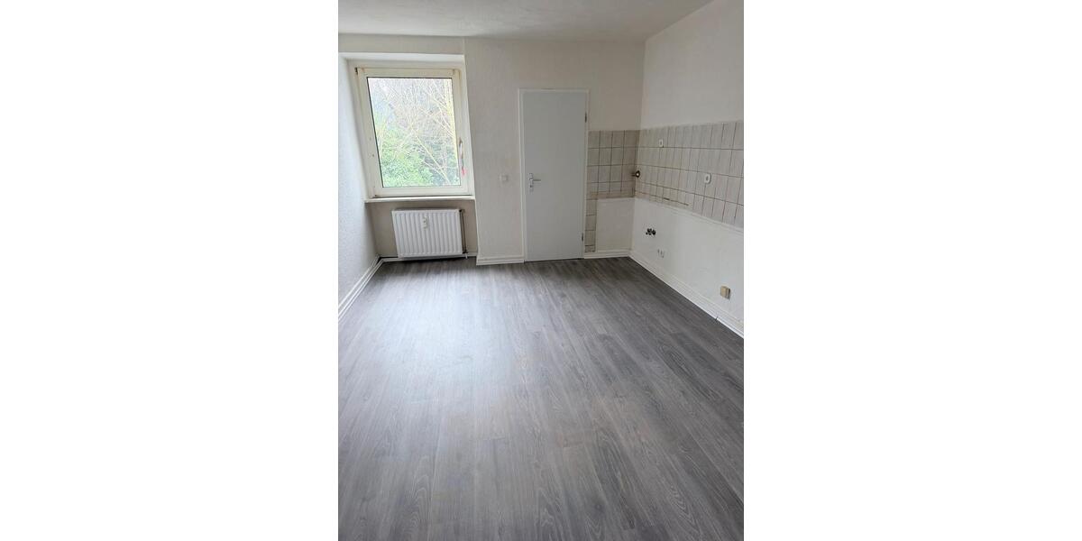 Etagenwohnung Hagen Hagen-Mitte - 3 Zimmer, 72 m&sup2;, 540&euro; | Angebot:25854392