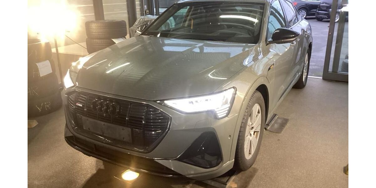 Audi e-tron 137.691 km 33.950 &euro; Hagen 58091
