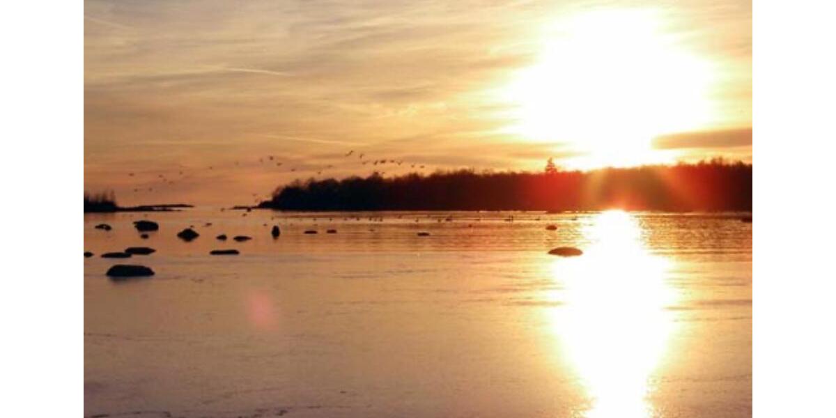 Ferienimmobilie Wuppertal Brill - 750&euro; | Angebot:24637038