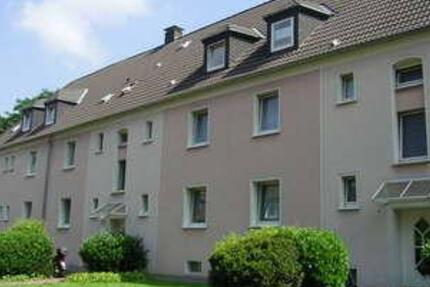 Wohnung Bochum Bochum-Nord - 2 Zimmer, 40 m&sup2;, 359&euro; | Angebot:25906407