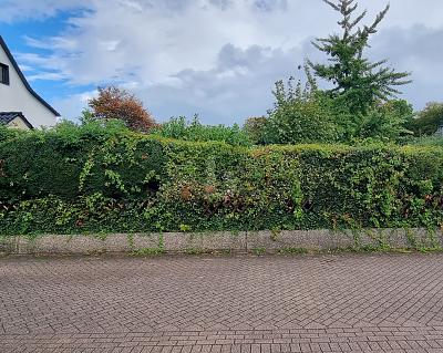 SONNENSTÜCK - UNBEBAUT UND NAHERHOLUNG - Grundstück Essen Stadtbezirk VII | Angebot:25832230