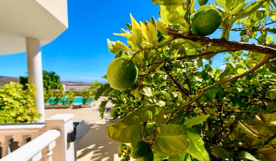 Ferienimmobilie Hagen Hagen-Mitte - 90&euro; | Angebot:25622083