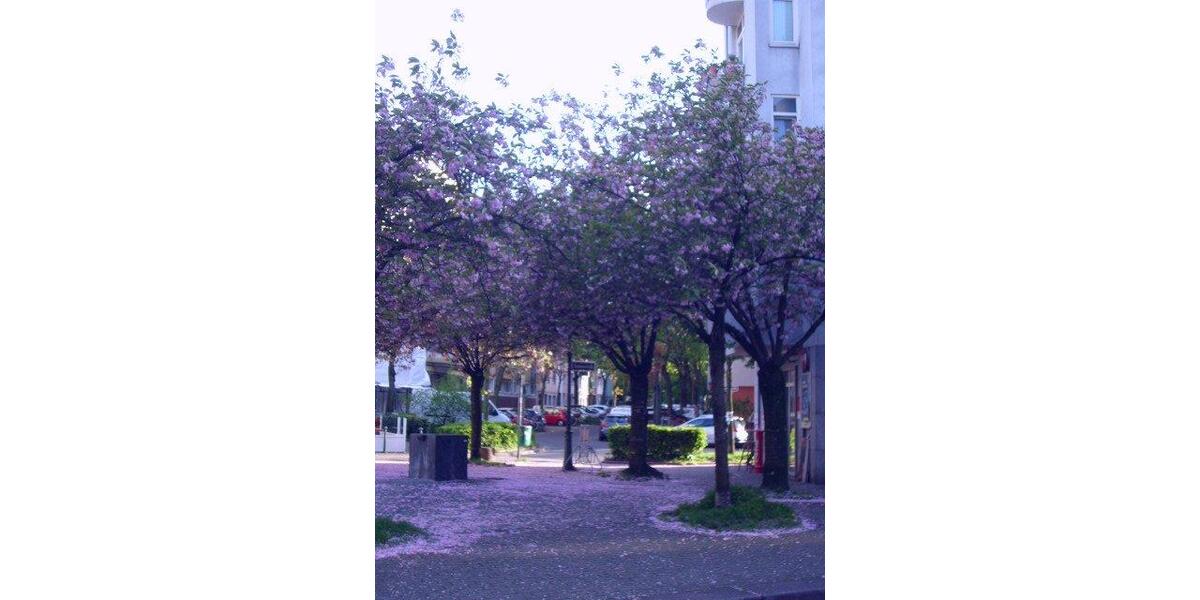 Etagenwohnung Düsseldorf Oberbilk - 2.5 Zimmer, 56 m&sup2;, 800&euro; | Angebot:26625997