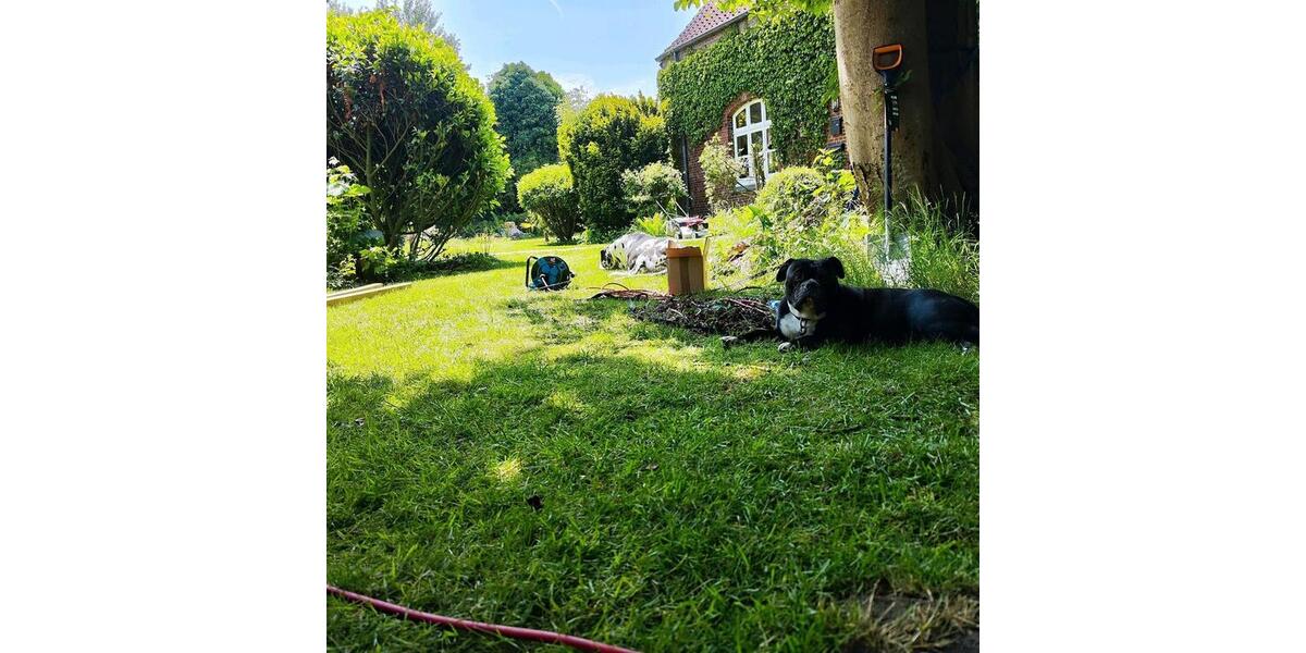 Ferienimmobilie Düsseldorf Stadtmitte - 100&euro; | Angebot:25221533