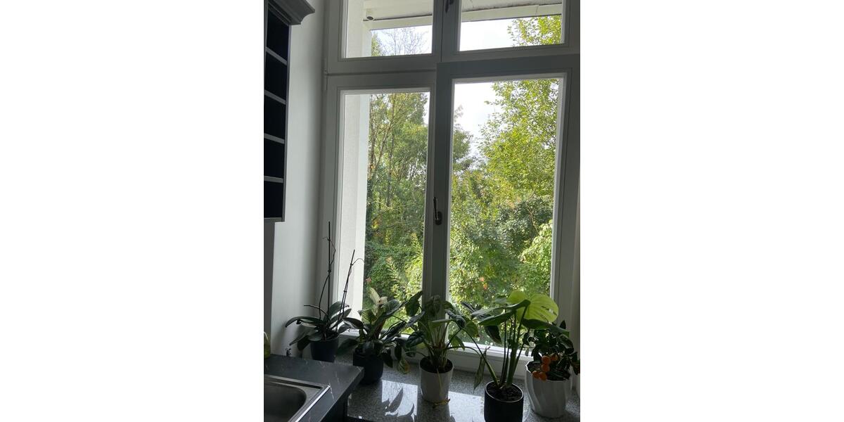 Erdgeschoßwohnung Wuppertal Elberfeld - 1 Zimmer, 35 m&sup2;, 350&euro; | Angebot:26028929