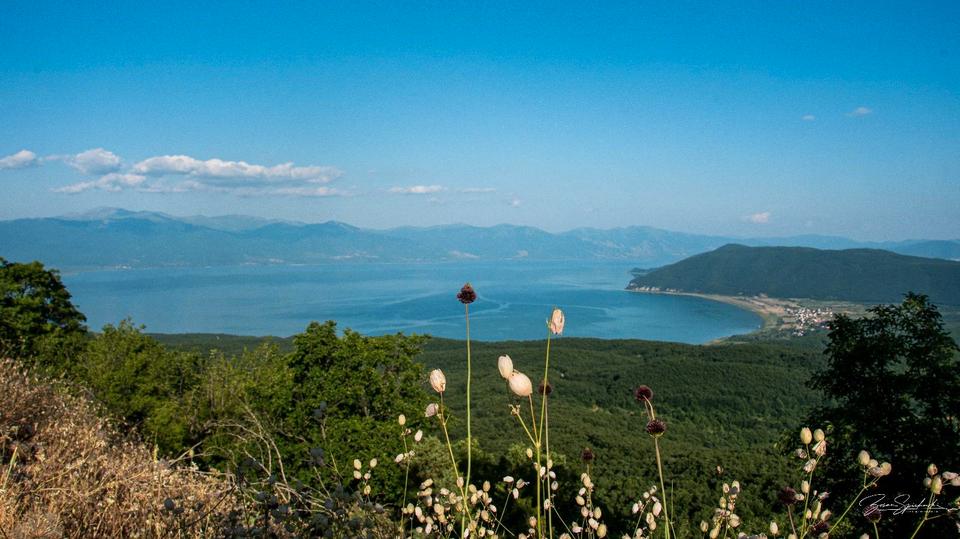 Ferienimmobilie Düsseldorf Stadtbezirk 8 - 37&euro; | Angebot:25562830