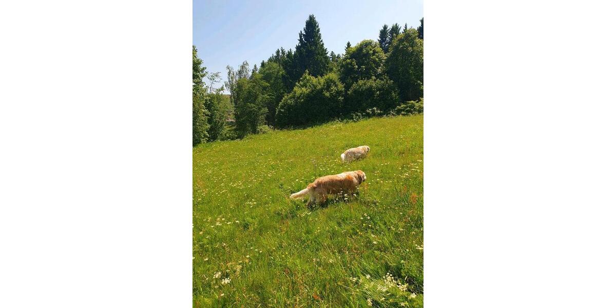 Ferienimmobilie Herdecke - 100&euro; | Angebot:25363017